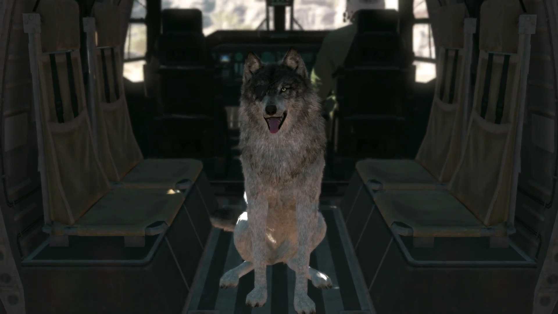 Mgs terminal portal. Metal Gear Solid 5: the Phantom Pain Dog. DD Metal Gear Solid 5. D-Dog MGS 5. Metal Gear Solid 5 собака.
