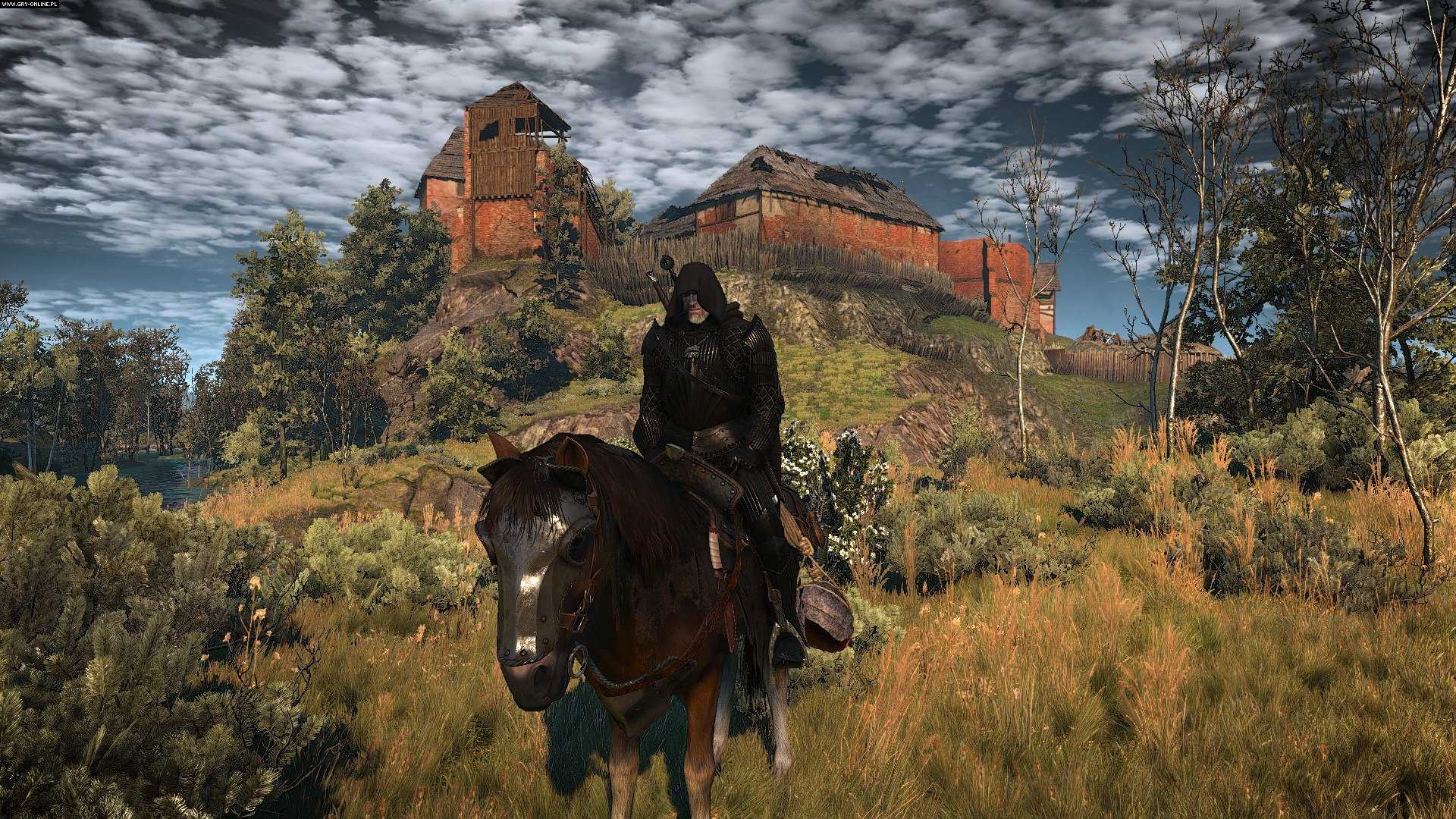 The witcher 3 100 save фото 113