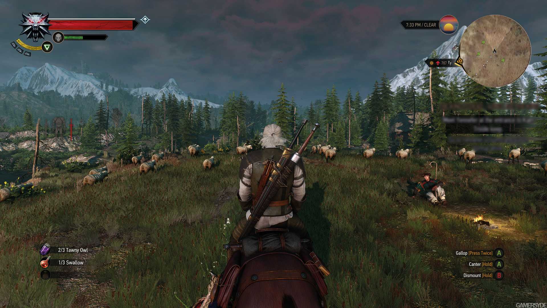 Quest guide the witcher 3 фото 98