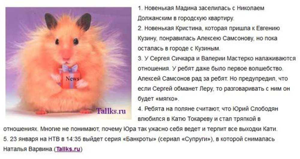 70 фраз о наслаждении жизнью