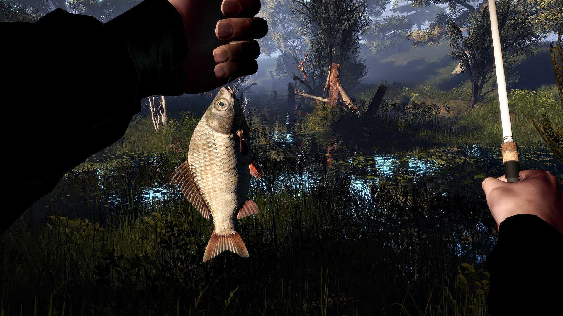 Игры рыбалка - играть онлайн бесплатно